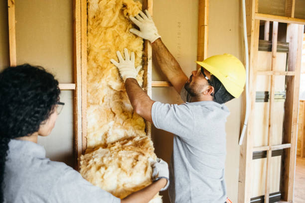 Insulation Replacement Services in Lansdale, PA